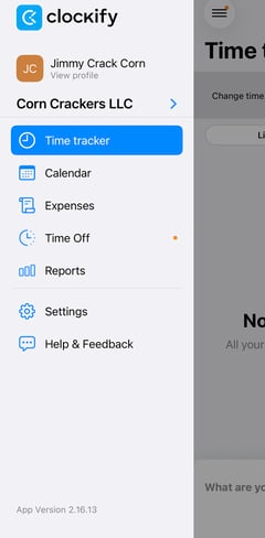 Clockify Mobile App 2