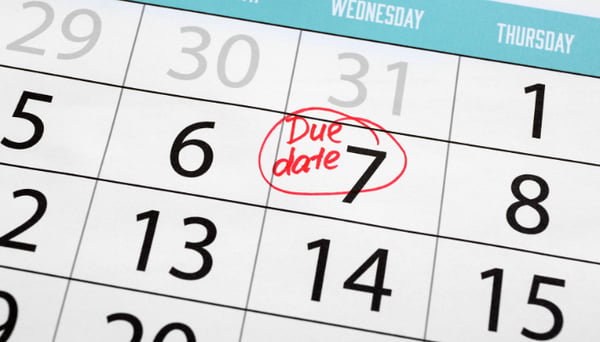 From Deadlines to Deductions: A Payroll Tax Survival Manual